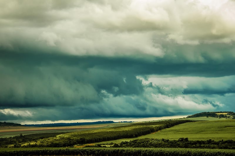 Temporal Consequences